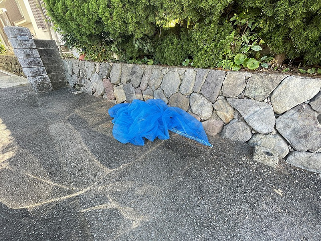 その他５