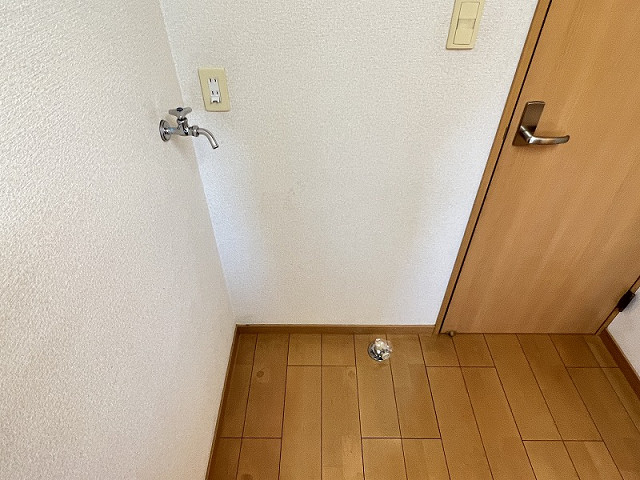 コスモハイツタカオ F 204号室の賃貸情報（速見郡日出町大字川崎