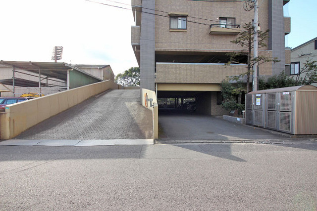 庭