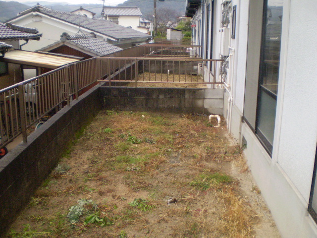 庭