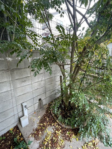 その他４