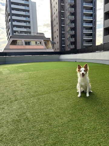 共用部