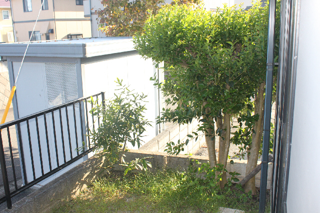 その他２
