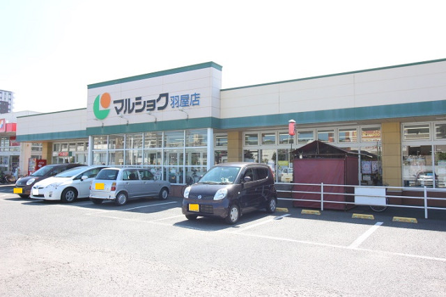 マルショク羽屋店