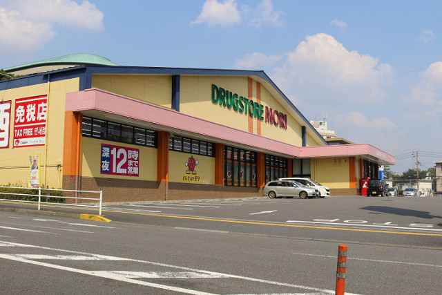 ドラッグストアモリ上野口店