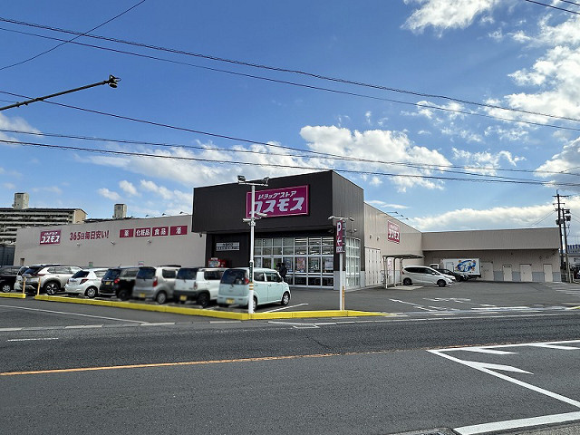 ドラッグストアコスモス古国府店