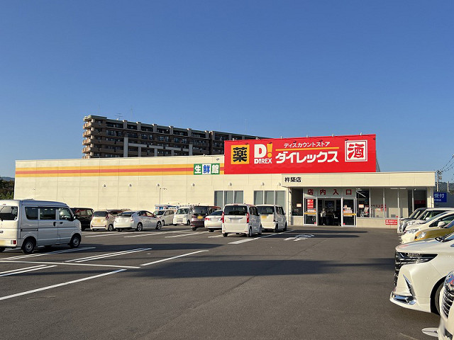 ダイレックス 杵築店