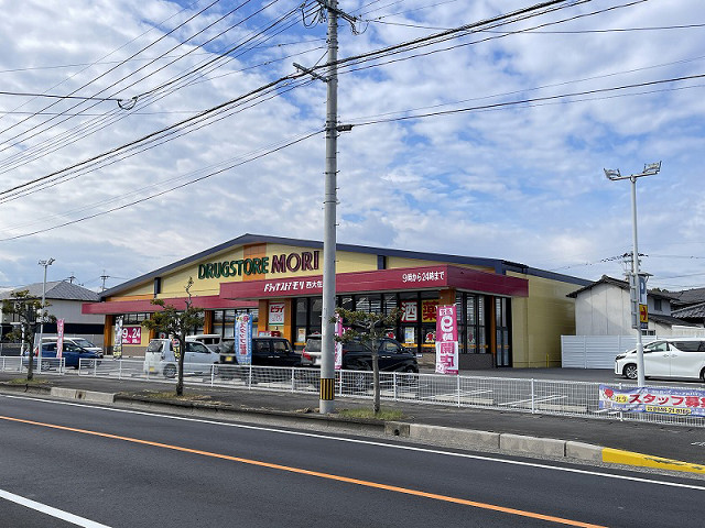 ドラッグストアモリ 西大在店