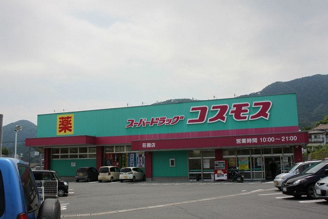 ディスカウントドラッグコスモス荘園店