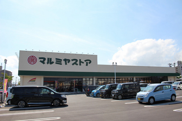 マルミヤストア 大在店