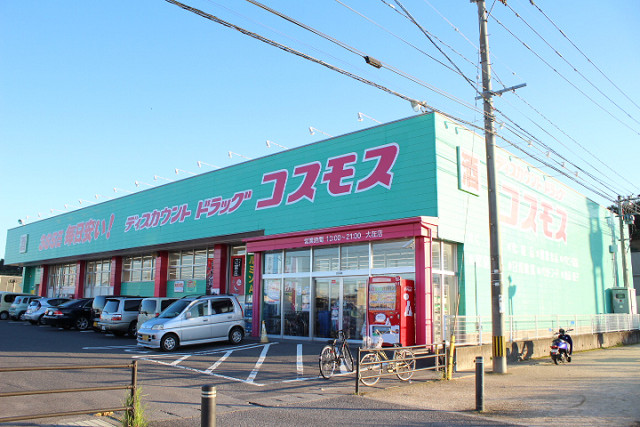 ディスカウントドラッグコスモス大在店
