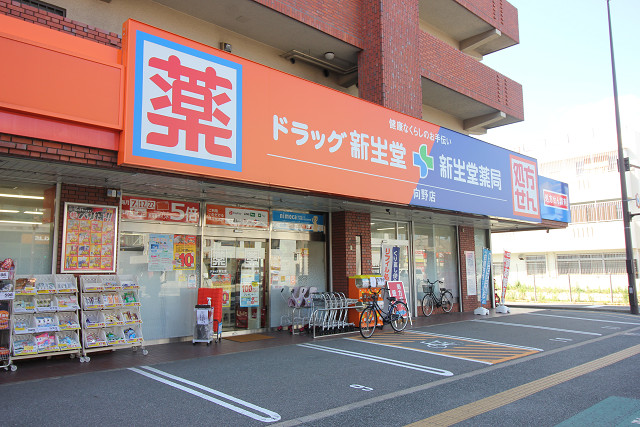 ドラッグ新生堂向野店