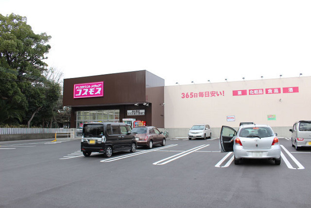 ドラッグストアコスモス 高松東店
