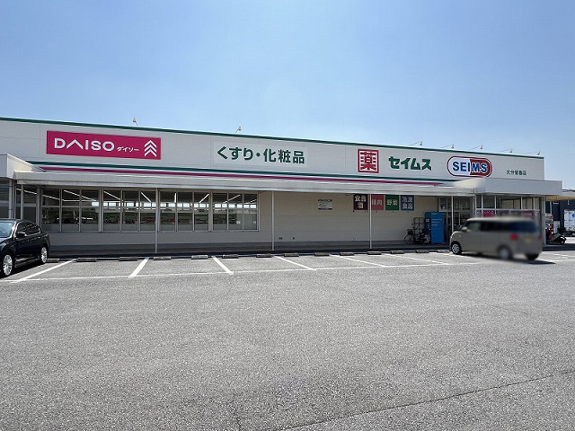 ドラッグセイムス 大分皆春店