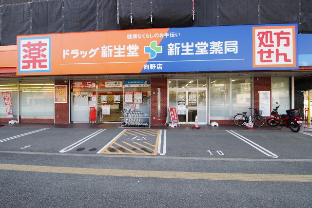 ドラッグ新生堂向野店