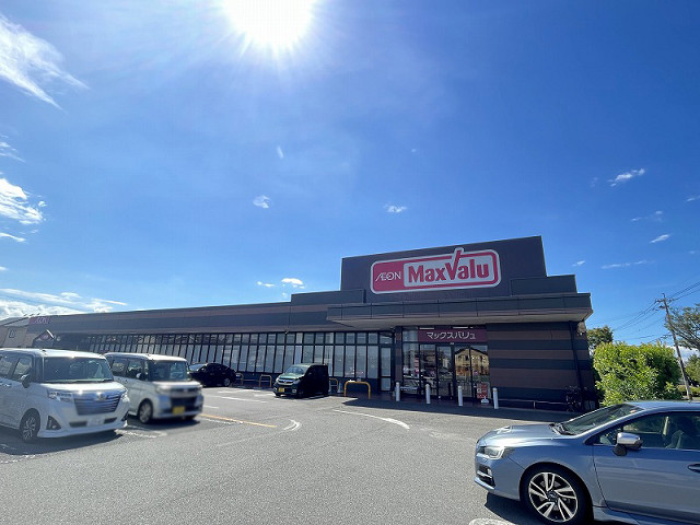 マックスバリュ大在店