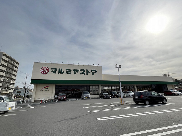 マルミヤストア 大在店