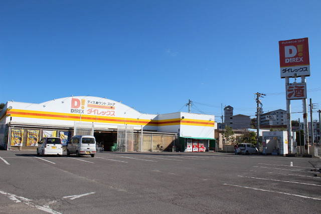ダイレックス 大在店
