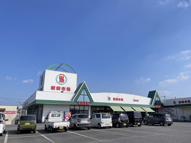 新鮮市場 松岡店