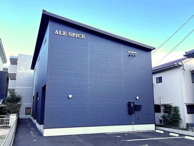 ＡＬＥ ＳＰＩＣＥ