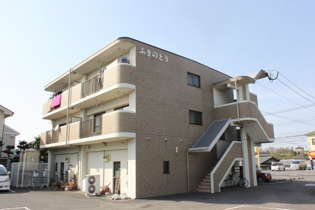 ふきのとう