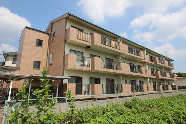 ライジングサン河野