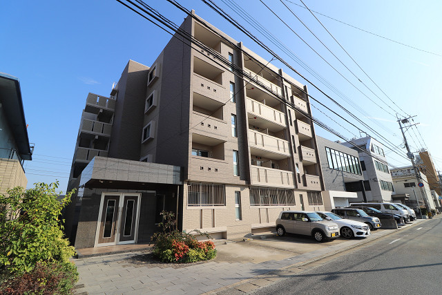 ＴｉａｒａＲ１堅粕