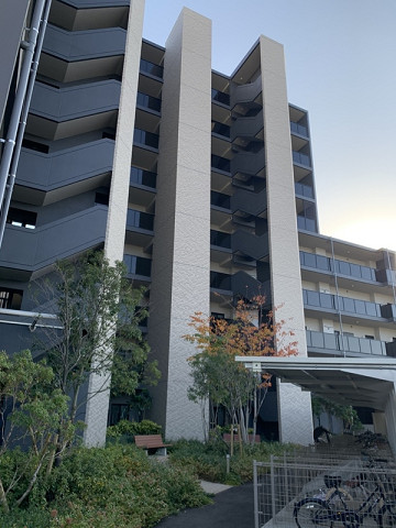 ジェイグラン平和