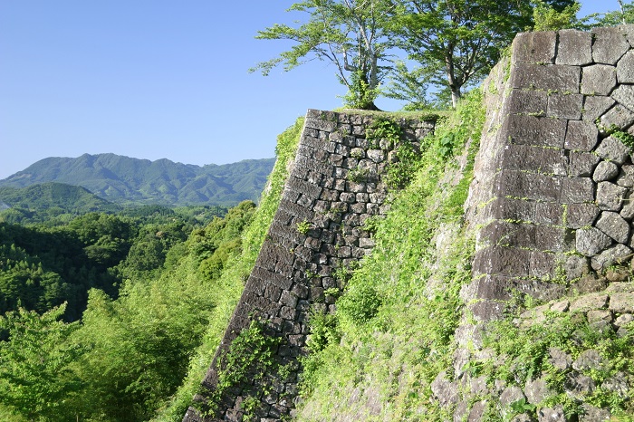 岡野城１