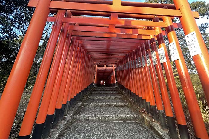 扇森稲荷神社_02