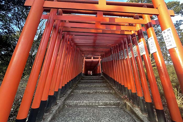 九州三大稲荷の一つ「扇森稲荷神社」|大分のエリア情報|別大 九州三大稲荷の一つ「扇森稲荷神社」|大分のエリア情報|別大