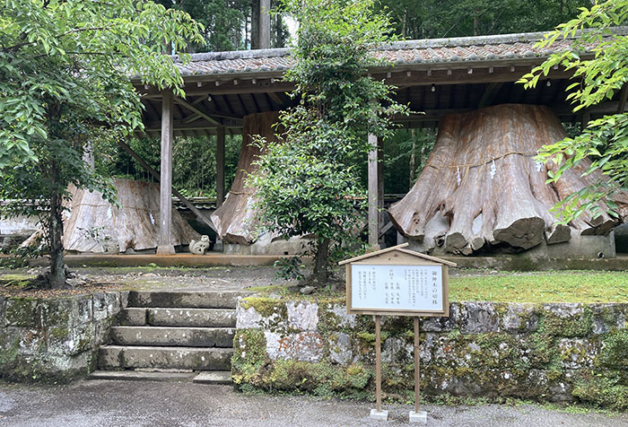 宇奈岐日女神社②.jpg