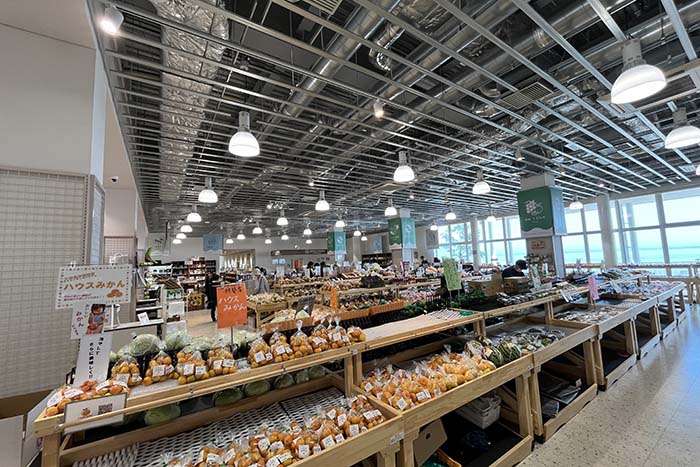 大分県産　院内町の新米10キロ別府市内ならどこでも配達します。 大分産ヒノヒカリ 庄内の新米10kg 無農薬栽培