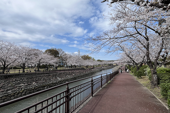 平和市民公園03