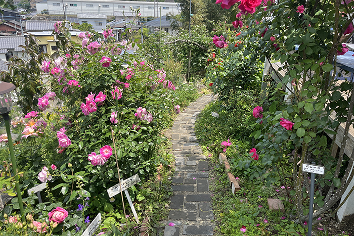 ひろかわバラ園02
