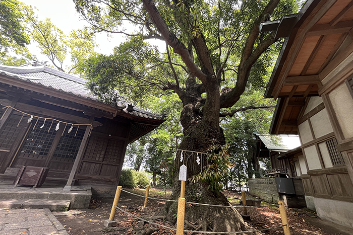鶴崎大神宮＆剣八幡宮04