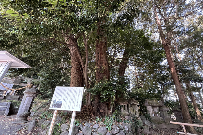 火売神社と湯元屋旅館04