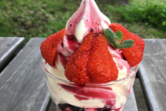 竹田市_パルクラブ05