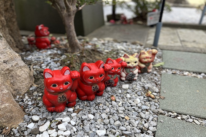 福運を招く「赤猫」が宿る、臼杵パワースポット「福良天満宮」｜大分の