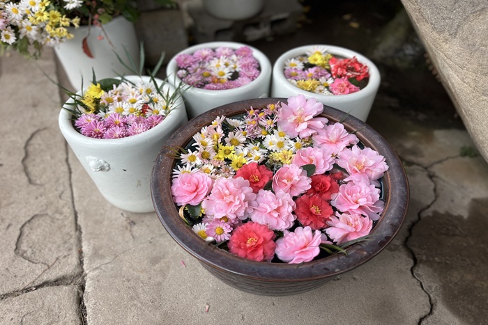 宇佐市_櫻岡神社と寺05