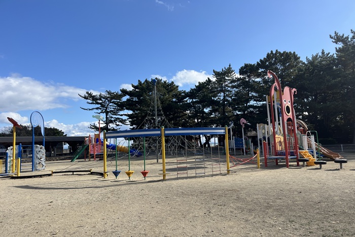 日出_若宮八幡・糸ヶ浜06