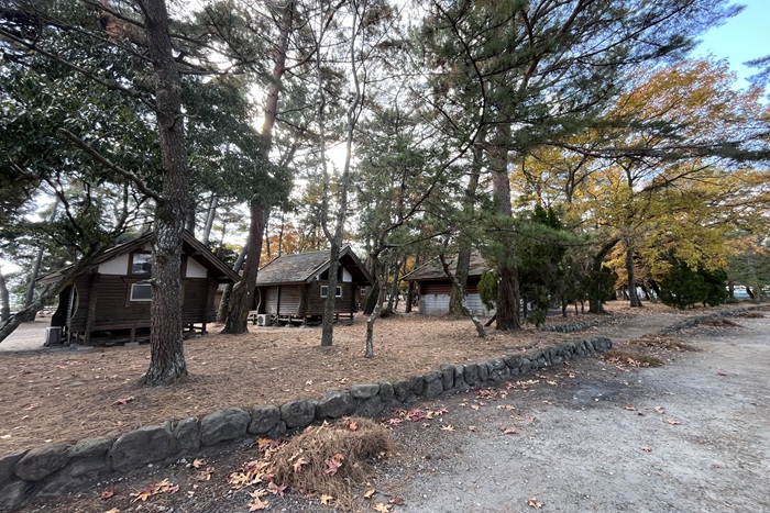 日出_若宮八幡・糸ヶ浜07