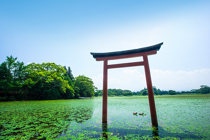 水面に映る鳥居がフォトジェニック！美しい風景に癒される「薦神社」