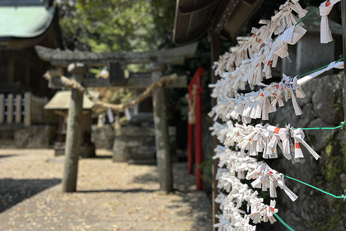 温泉の神を祀る「火売神社」と、明礬の穴場の日帰り湯
